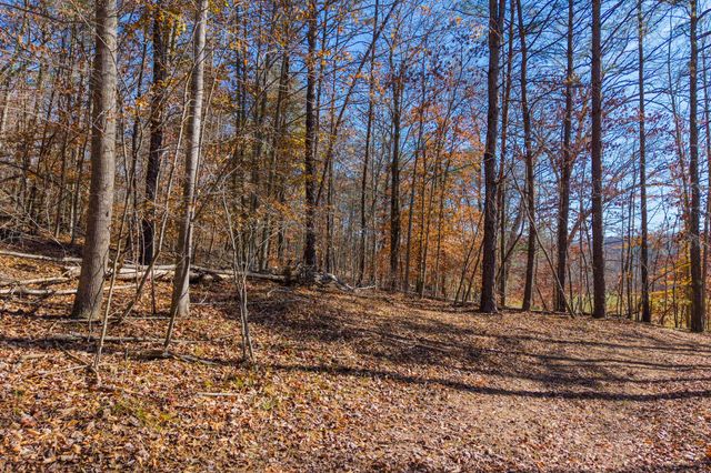 1124 State Hwy 844, West Liberty, KY 41472