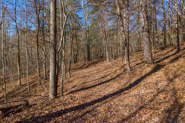 1124 State Hwy 844, West Liberty, KY 41472