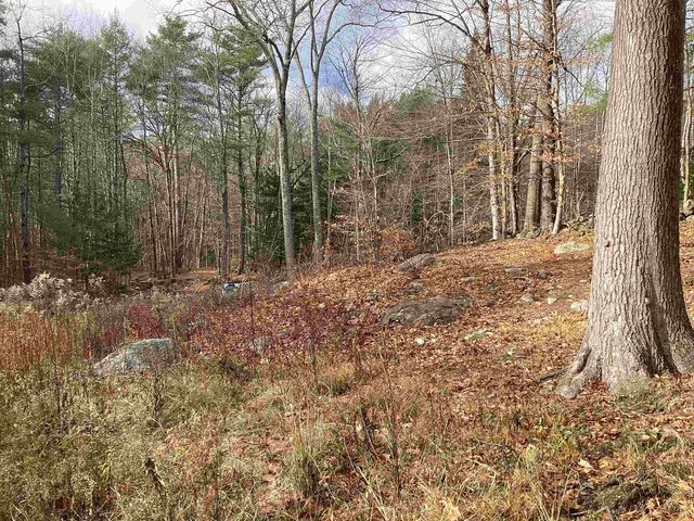 31 Blanchard Hill Road, Greenfield, NH 03047