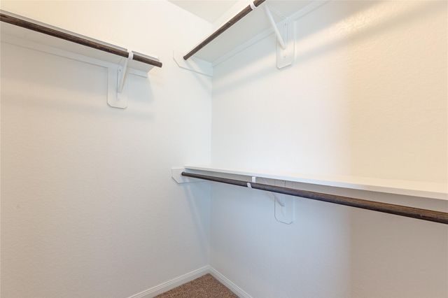 24630 Bastiani Canvas Lane, Katy, TX 77493