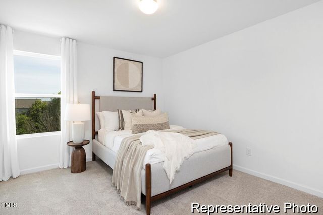 86 Open Meadow Court 92p, Lillington, NC 27546