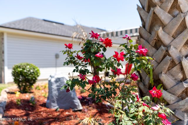 3925 ARBOR LAKE Drive W, Jacksonville, FL 32225