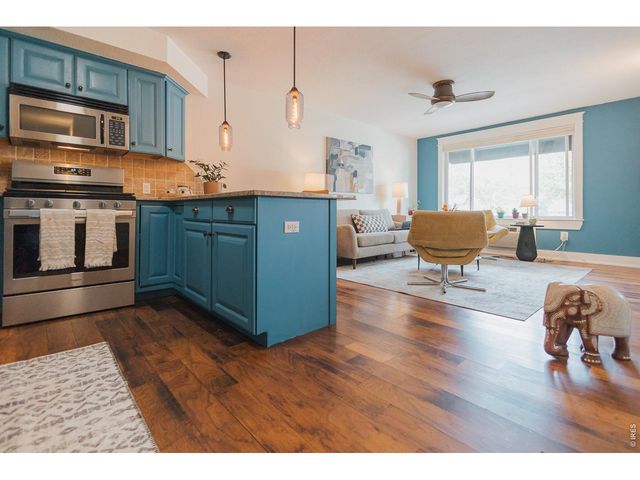 233 N Meldrum St, Fort Collins, CO 80521