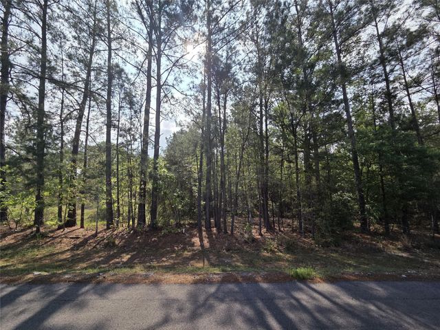 2.58 Acres Oakdale Drive, Huntsville, TX 77320
