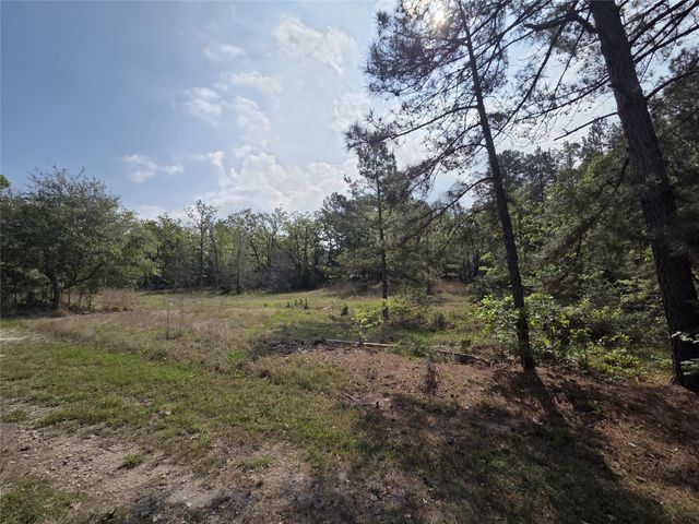 2.58 Acres Oakdale Drive, Huntsville, TX 77320