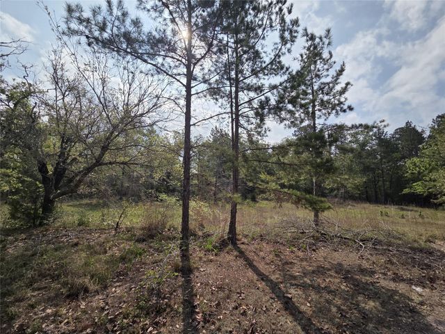 2.58 Acres Oakdale Drive, Huntsville, TX 77320
