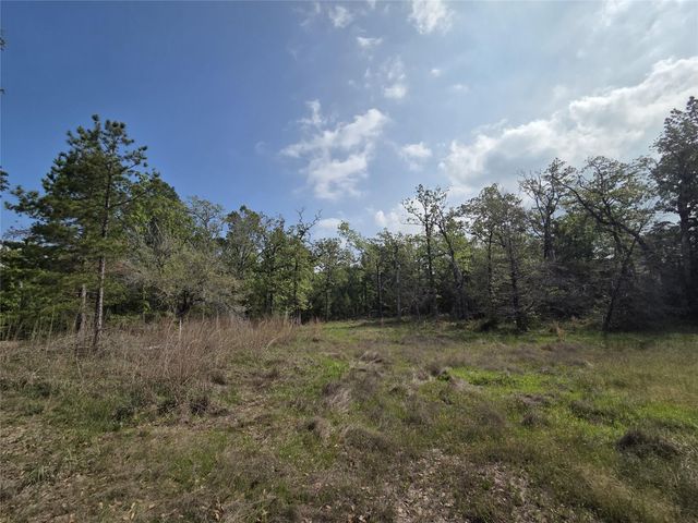 2.58 Acres Oakdale Drive, Huntsville, TX 77320