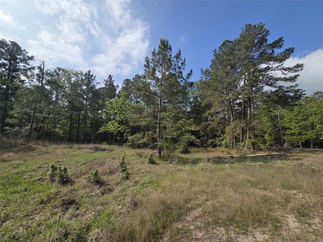 2.58 Acres Oakdale Drive, Huntsville, TX 77320