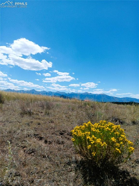 567 Trails End Court, Cotopaxi, CO 81223 — photo 2