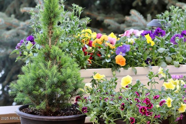 912 W Madera Lane, Payson, AZ 85541