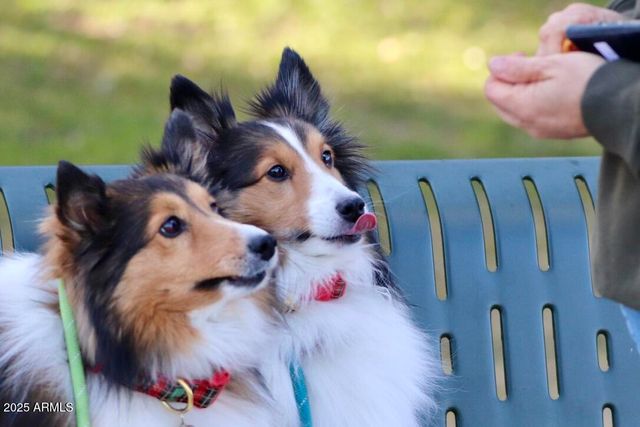 912 W Madera Lane, Payson, AZ 85541