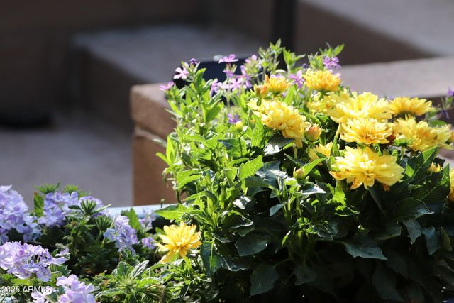 912 W Madera Lane, Payson, AZ 85541