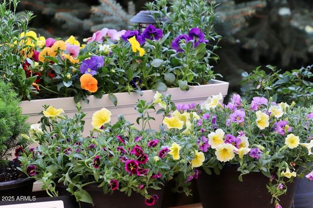 912 W Madera Lane, Payson, AZ 85541