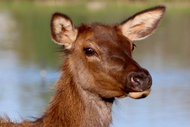 912 W Madera Lane, Payson, AZ 85541