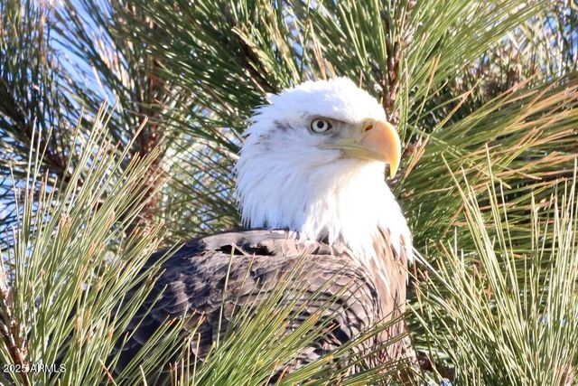 912 W Madera Lane, Payson, AZ 85541