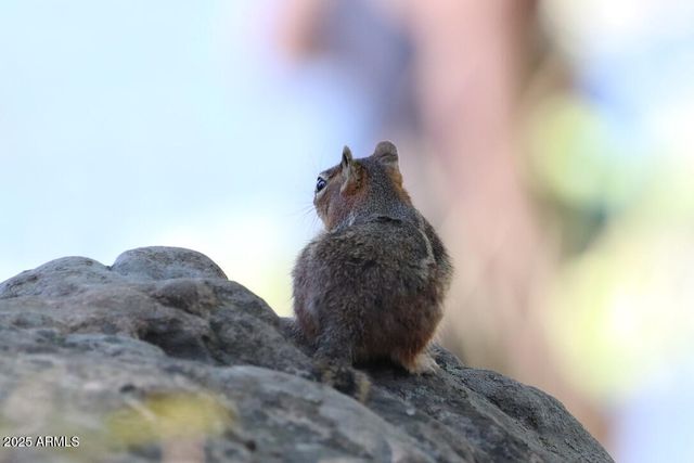 912 W Madera Lane, Payson, AZ 85541