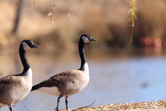 912 W Madera Lane, Payson, AZ 85541