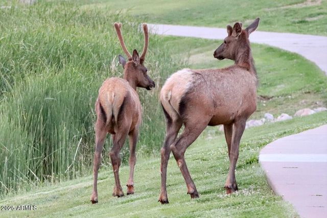 912 W Madera Lane, Payson, AZ 85541