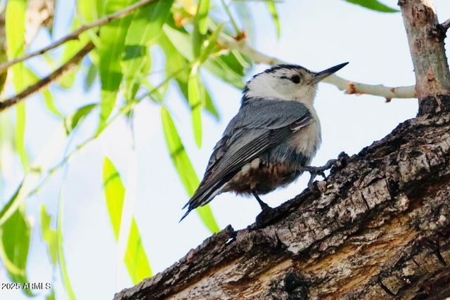 912 W Madera Lane, Payson, AZ 85541