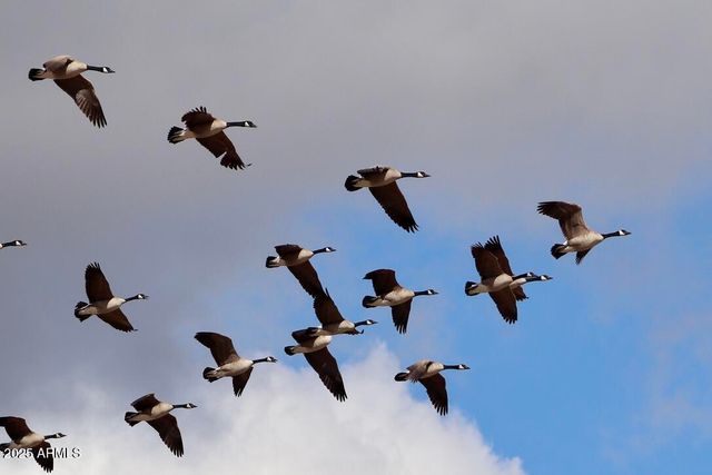 912 W Madera Lane, Payson, AZ 85541