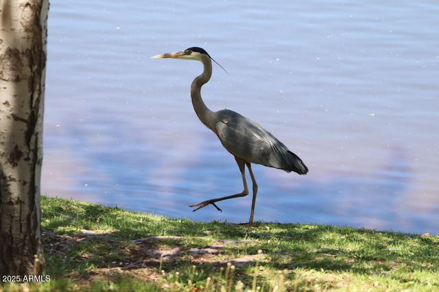 912 W Madera Lane, Payson, AZ 85541