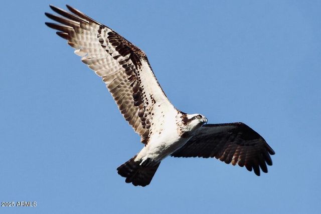 912 W Madera Lane, Payson, AZ 85541