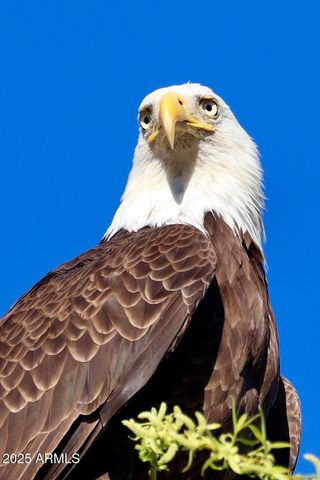 912 W Madera Lane, Payson, AZ 85541