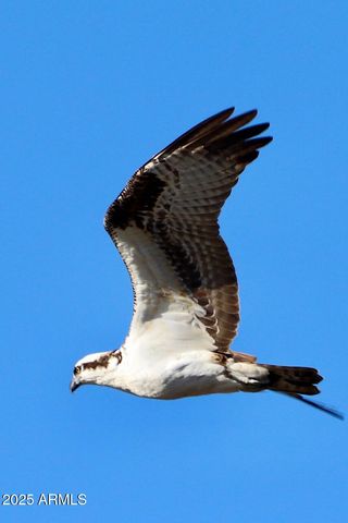 912 W Madera Lane, Payson, AZ 85541