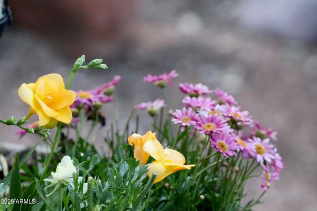 912 W Madera Lane, Payson, AZ 85541