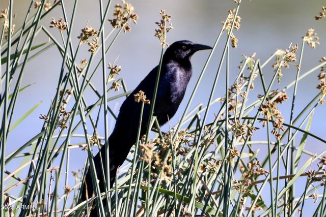 912 W Madera Lane, Payson, AZ 85541