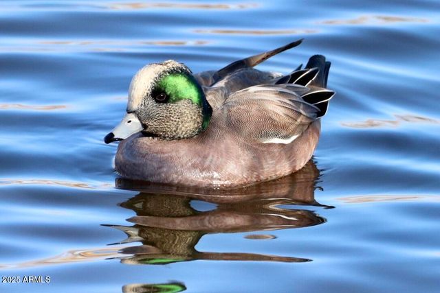 912 W Madera Lane, Payson, AZ 85541