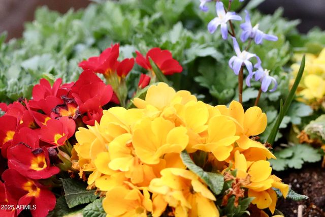 912 W Madera Lane, Payson, AZ 85541