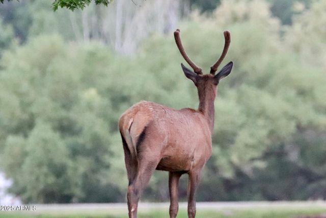 912 W Madera Lane, Payson, AZ 85541