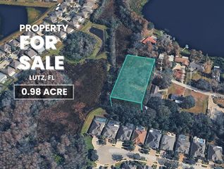 BLOUNT ROAD, Lutz, FL 33558