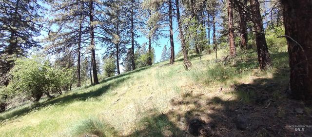 400 Bobcat Drive, Ahsahka, ID 83520