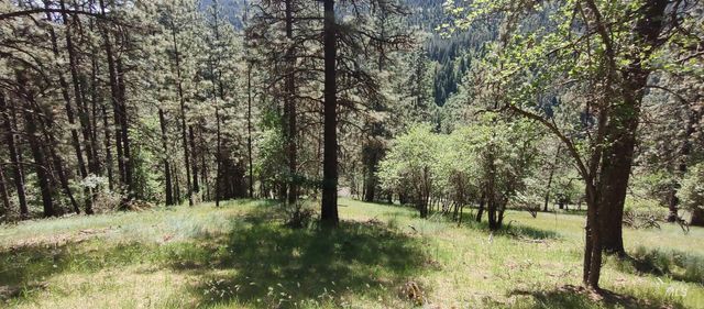 400 Bobcat Drive, Ahsahka, ID 83520