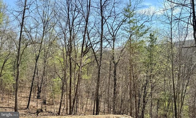 LOT 4 JENKINS RD, Gerrardstown, WV 25420