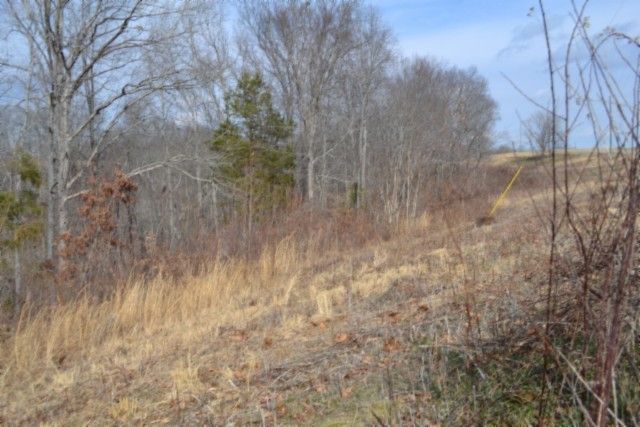 0 Hush Hollow Lane, Baxter, TN 38544