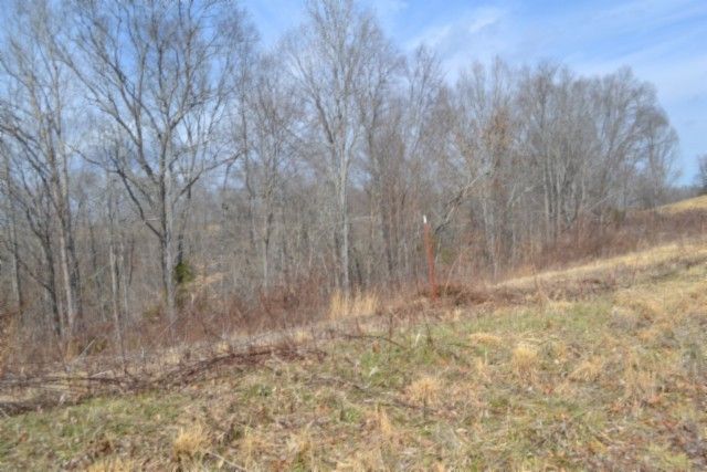0 Hush Hollow Lane, Baxter, TN 38544