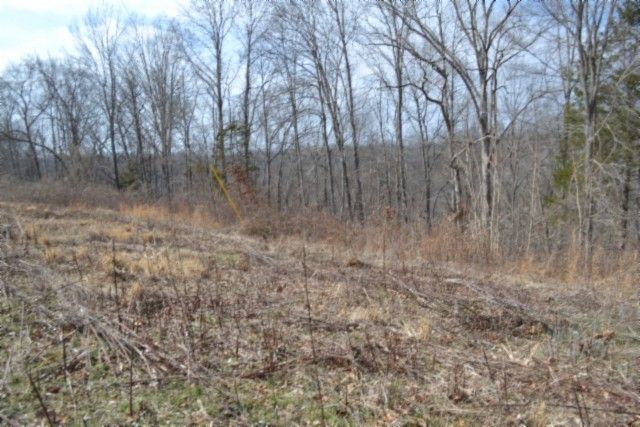 0 Hush Hollow Lane, Baxter, TN 38544