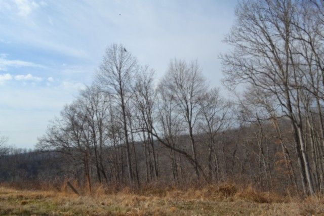 0 Hush Hollow Lane, Baxter, TN 38544