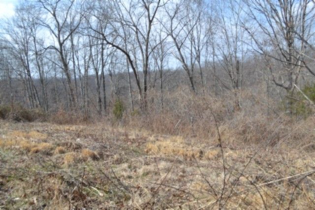 0 Hush Hollow Lane, Baxter, TN 38544