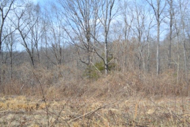 0 Hush Hollow Lane, Baxter, TN 38544