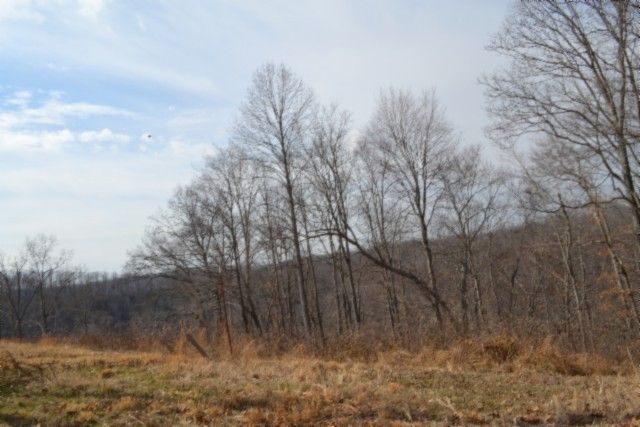 0 Hush Hollow Lane, Baxter, TN 38544