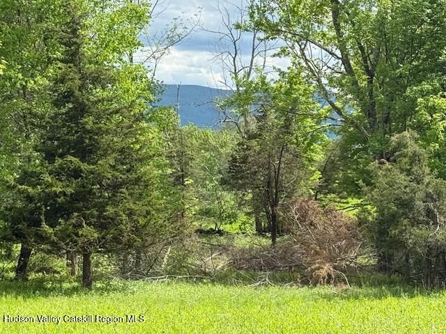 0 Van Etten Road, Lexington, NY 12452