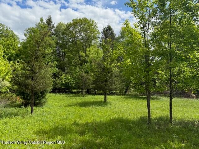 0 Van Etten Road, Lexington, NY 12452