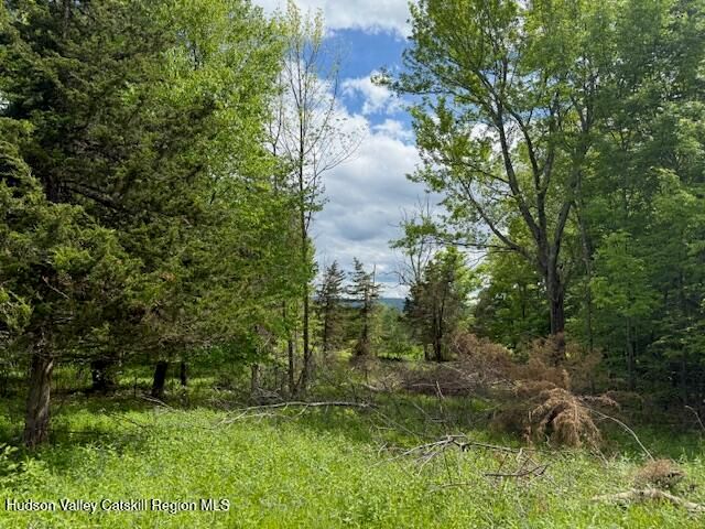 0 Van Etten Road, Lexington, NY 12452