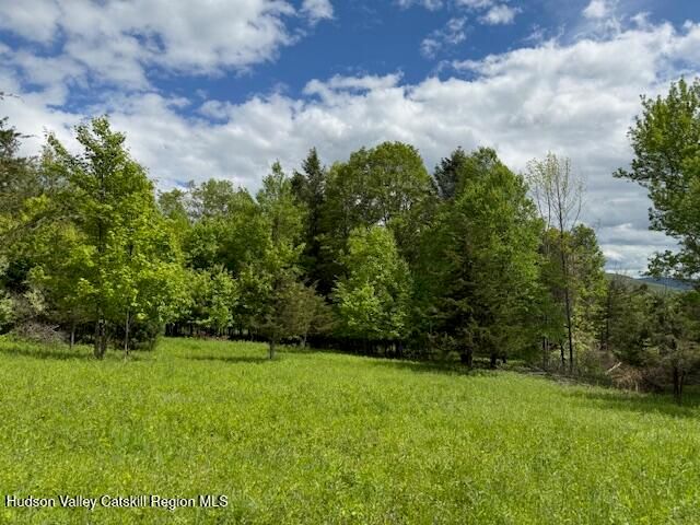 0 Van Etten Road, Lexington, NY 12452