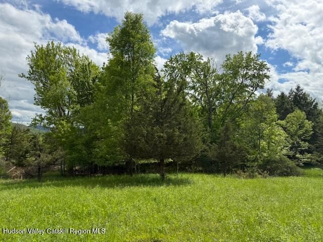 0 Van Etten Road, Lexington, NY 12452