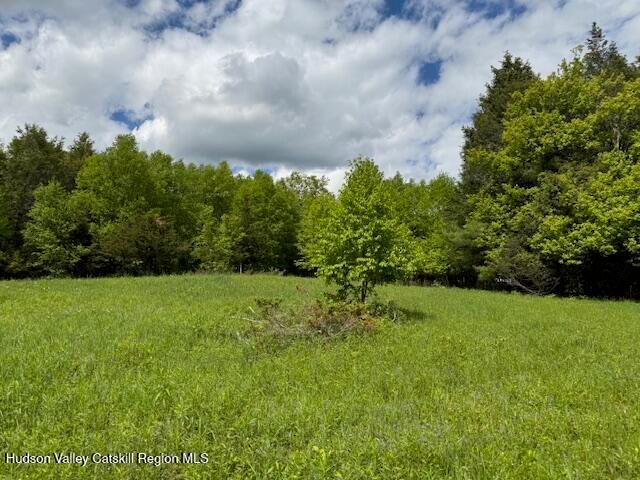 0 Van Etten Road, Lexington, NY 12452